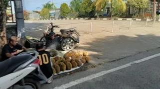 Harga Durian di Simeulue Anjlok saat Puncak Musim Panen