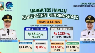 Harga TBS Sawit Dharmasraya Tembus Rp3.810 per Kilogram, Tertinggi dari PT AWB