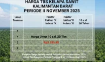Harga TBS Sawit Kalbar Periode II Juli 2026 Naik Jadi Rp3.599,27 per Kg