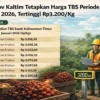 Harga TBS Sawit Kaltim Periode II-Juni 2026 Naik Rp65,77 per Kg