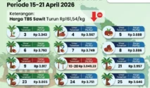 Harga TBS Sawit Sumut Periode 1-7 Juli 2026 Naik Rp100,74 per Kg