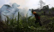 Hingga November 2026, Kalbar Tetap Berstatus Siaga Darurat Bencana Karhutla