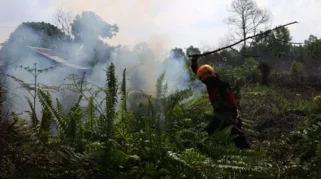 Hingga November 2026, Kalbar Tetap Berstatus Siaga Darurat Bencana Karhutla