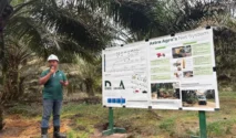 Industri Kelapa Sawit Pangkalan Bun Sumbang Rp 1,7 Triliun ke Negara Tahun Ini
