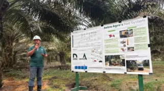 Industri Kelapa Sawit Pangkalan Bun Sumbang Rp 1,7 Triliun ke Negara Tahun Ini