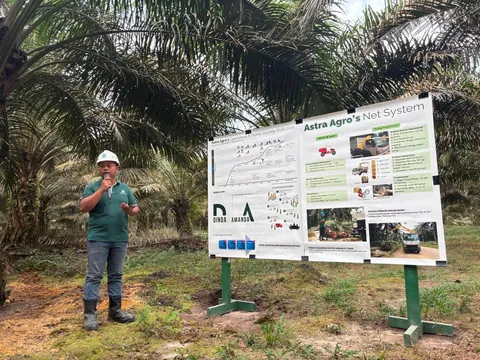 Industri Kelapa Sawit Pangkalan Bun Sumbang Rp 1,7 Triliun ke Negara Tahun Ini