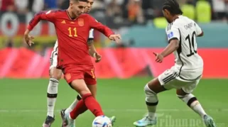 Italia U19 Bersiap Hadapi Latvia, Spanyol, dan Prancis di Kualifikasi Elite Round Euro U19 2025
