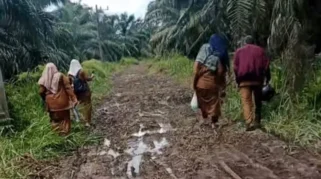 Jalan Rusak Hambat Mobilitas Warga Desa Kuta Beringin, Dana Desa Tak Bisa Digunakan