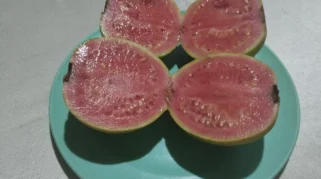 Jambu Merah Biji: Buah Lokal dengan Nutrisi Super