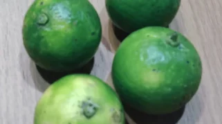 Kandungan Vitamin Jeruk Nipis: Vitamin C, B6, Folat, dan Manfaat Kesehatan