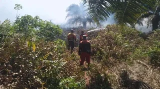 Karhutla Marak di Kotawaringin Barat, Delapan Hektare Lahan Hangus