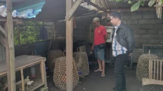 Kasus Maling Ayam di Bali: Tewasnya Terduga Pencuri dan Imbauan Penegakan Hukum