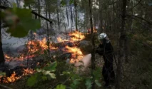 Kebakaran Hutan Dekat Paris Hanguskan 1.300 Hektare, 900 Warga Dievakuasi