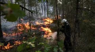 Kebakaran Hutan Dekat Paris Hanguskan 1.300 Hektare, 900 Warga Dievakuasi