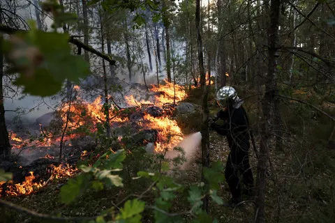 Kebakaran Hutan Dekat Paris Hanguskan 1.300 Hektare, 900 Warga Dievakuasi