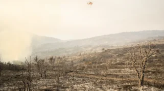Kebakaran Hutan di Prancis dan Yunani Tewaskan Dua Orang
