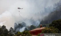 Kebakaran Hutan Meluas di Sekitar Madrid dan Bordeaux, Ribuan Warga Dievakuasi