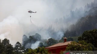 Kebakaran Hutan Meluas di Sekitar Madrid dan Bordeaux, Ribuan Warga Dievakuasi