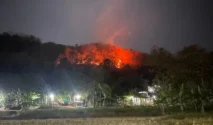 Kebakaran Hutan Seluas 8 Hektare Landa Perbukitan Imogiri Bantul