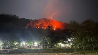 Kebakaran Hutan Seluas 8 Hektare Landa Perbukitan Imogiri Bantul