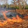 Kebakaran TPA Jatiwaringin Meluas, Status Tanggap Darurat Ditetapkan