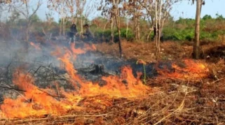 Kebakaran TPA Jatiwaringin Meluas, Status Tanggap Darurat Ditetapkan