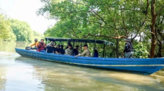 Keindahan Wisata Susur Sungai Kalanganyar, Surga Mangrove dan Hiu Tutul di Sidoarjo