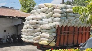 Kelangkaan Gabah di Asahan, Pabrik Beras Terancam Hentikan Produksi