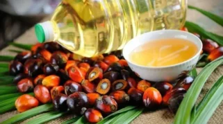 Kemendag Turunkan Harga Referensi CPO Juli 2026 hingga 2,78 Persen