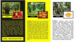 Kenali Tipe Warna Buah Sawit, Planter Diminta Tak Hanya Andalkan Warna Saat Menentukan Panen