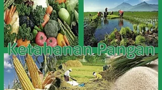 Ketahanan Pangan Desa: Definisi dan Pilar Utama