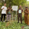 KPP Sita Aset Perusahaan Sawit di Lampung, Tunggakan Pajak Capai Rp42 Miliar