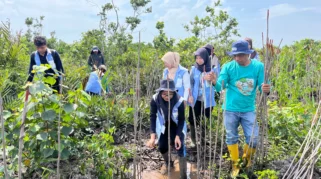 Kukerta UNRI Tanam Mangrove di Selatbaru, Perkuat Upaya Penanggulangan Abrasi