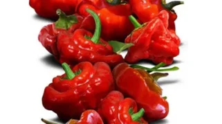 Kuliner Super Pedas dari Berbagai Belahan Dunia yang Wajib Dicoba