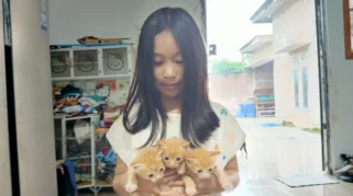 Langkah Tepat Pertolongan Pertama saat Digigit Kucing