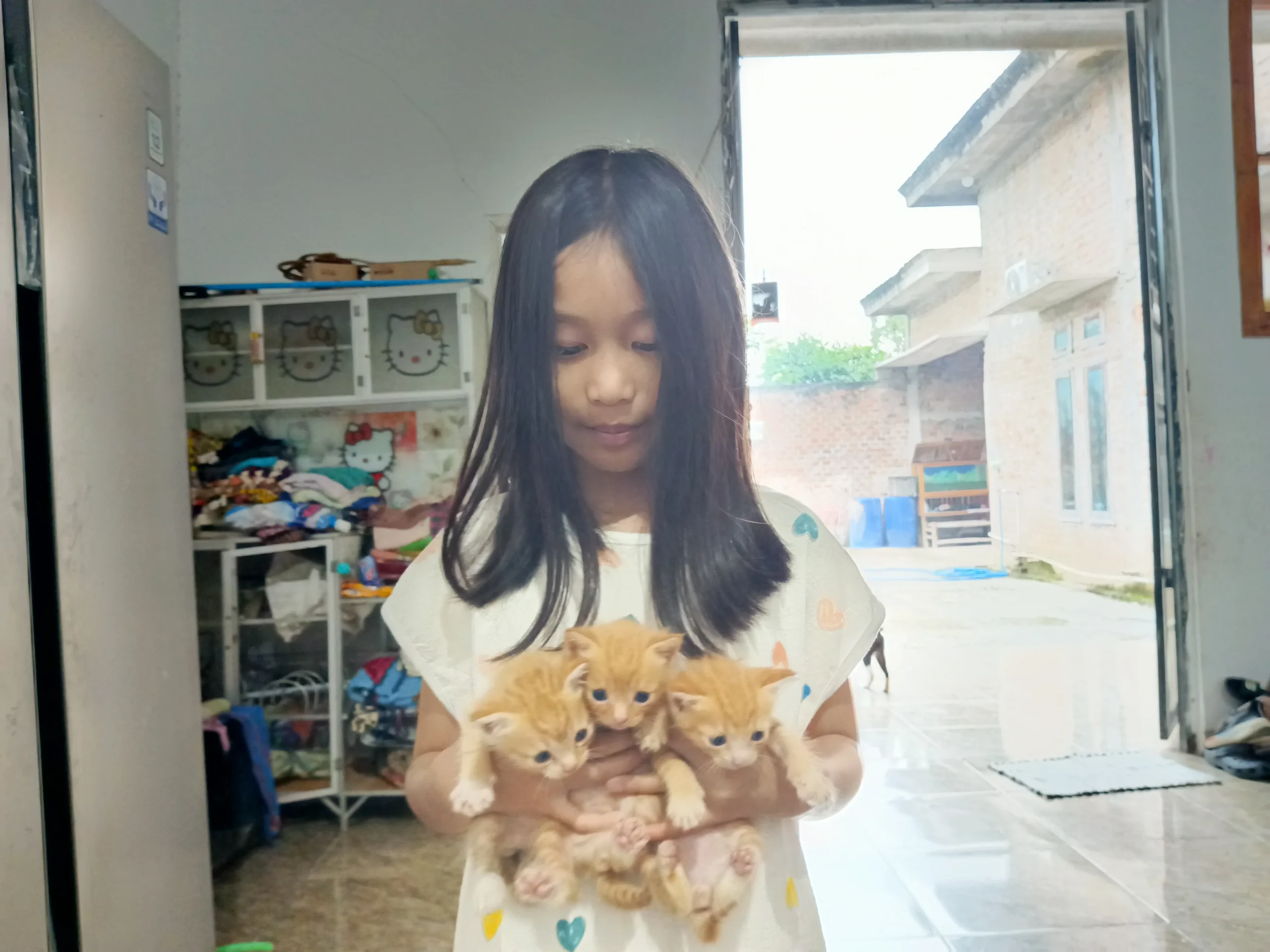 Langkah Tepat Pertolongan Pertama saat Digigit Kucing