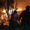 Lima Hektare Hutan Rakyat di Balong Ponorogo Terbakar, Warga dan BPBD Berjibaku Padamkan Api