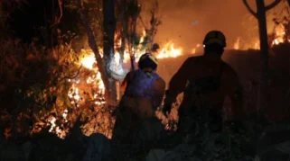 Lima Hektare Hutan Rakyat di Balong Ponorogo Terbakar, Warga dan BPBD Berjibaku Padamkan Api