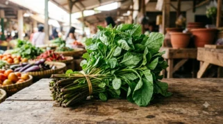Manfaat Bayam untuk Anemia: Kandungan Zat Besi yang Baik bagi Tubuh