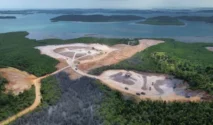 Membangun Tanpa Mengorbankan Mangrove: Tantangan Pembangunan di Batam