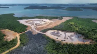 Membangun Tanpa Mengorbankan Mangrove: Tantangan Pembangunan di Batam