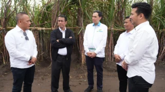 Mentan Amran Sulaiman Percepat Swasembada Gula dengan Program Bongkar Ratoon dan Penanganan Hambatan Industri