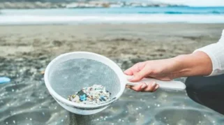 Mikroplastik dalam Kehidupan Sehari-hari: Risiko dan Langkah Bijak Menguranginya