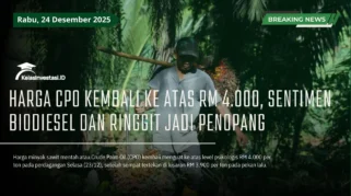 MPOB Proyeksikan Harga CPO Bertahan di Atas RM4.000 per Ton Sepanjang 2026, Didukung Harga Minyak Dunia