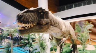 Museum Koleksi Dinosaurus Terbesar RI Mulai Dibuka, Pemkot Solo Umumkan Tiketnya Segini