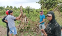 Musim dan Debit Air Tingkatkan Hasil Tangkapan Ikan Sungai di Way Kanan