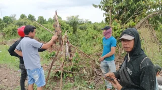 Musim dan Debit Air Tingkatkan Hasil Tangkapan Ikan Sungai di Way Kanan