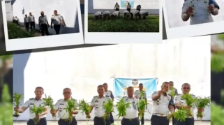 Panen Raya 50 Kg Kangkung Hasil Pembinaan Warga Binaan Lapas Gunungsitoli