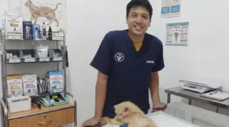 PDHI Imbau Masyarakat Waspadai Zoonosis di Hari Zoonosis Sedunia