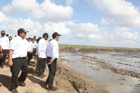 Pemerintah Cetak 83.030 Hektare Sawah Baru di Papua, Papua Selatan Jadi Pusat Pangan